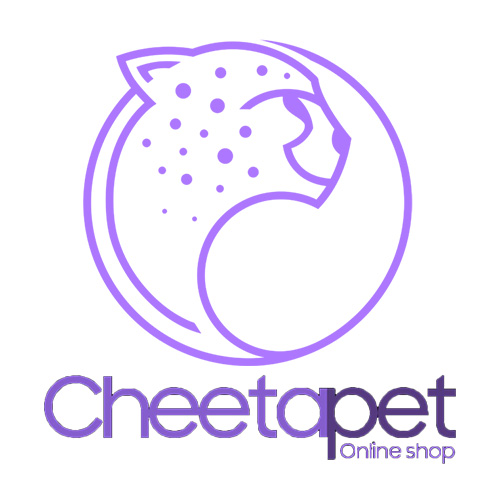 طراحی سایت فروشگاهی چیتاپت
